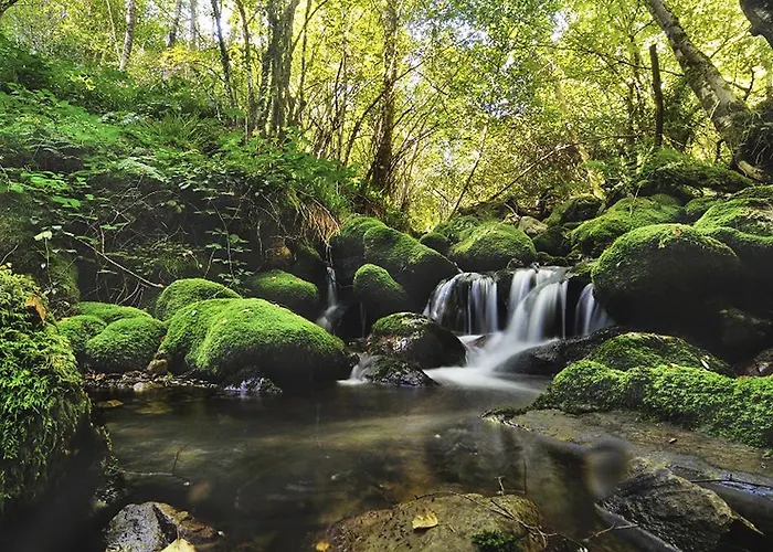 La Casa De Las Brujas